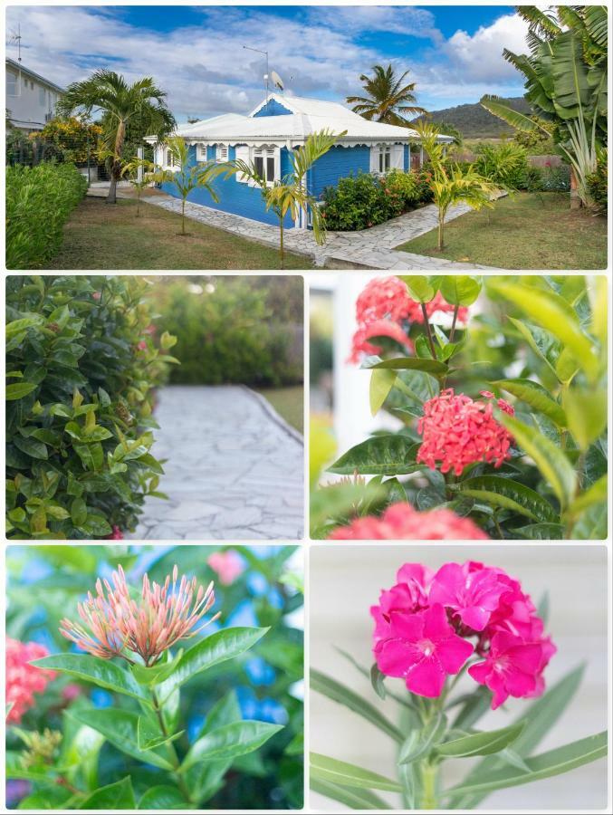 Villa Alize & Villa Aigue-Marine Sainte-Anne Kültér fotó